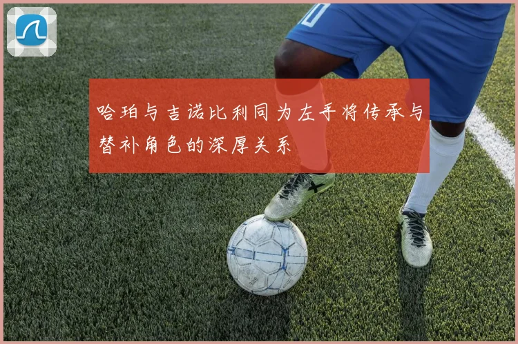 哈珀与吉诺比利同为左手将传承与替补角色的深厚关系