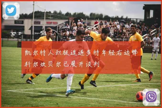 凯尔特人积极追逐多特年轻右边锋科尔坎贝尔已展开谈判