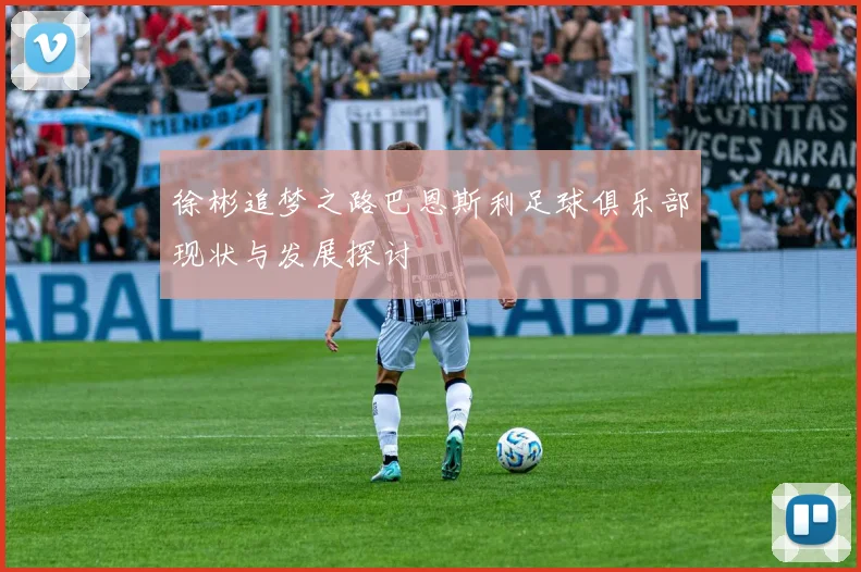 徐彬追梦之路巴恩斯利足球俱乐部现状与发展探讨