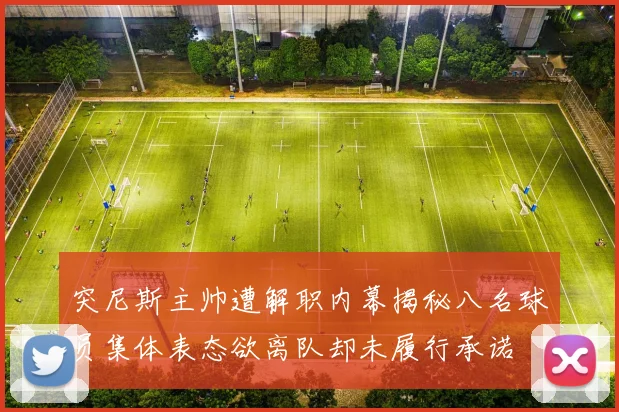 突尼斯主帅遭解职内幕揭秘八名球员集体表态欲离队却未履行承诺